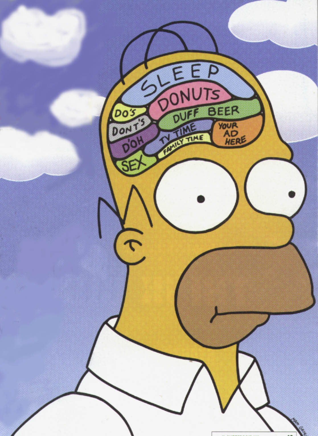 homer_braincolor1.jpg