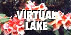 Virtual Lake