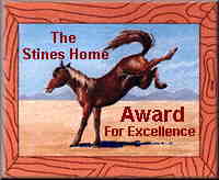Stines Award For Excellence