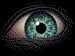 eye.gif (9209 bytes)