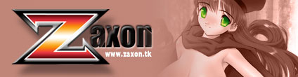 www.zaxon.tk