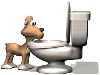 Dog drinking water from a toilet