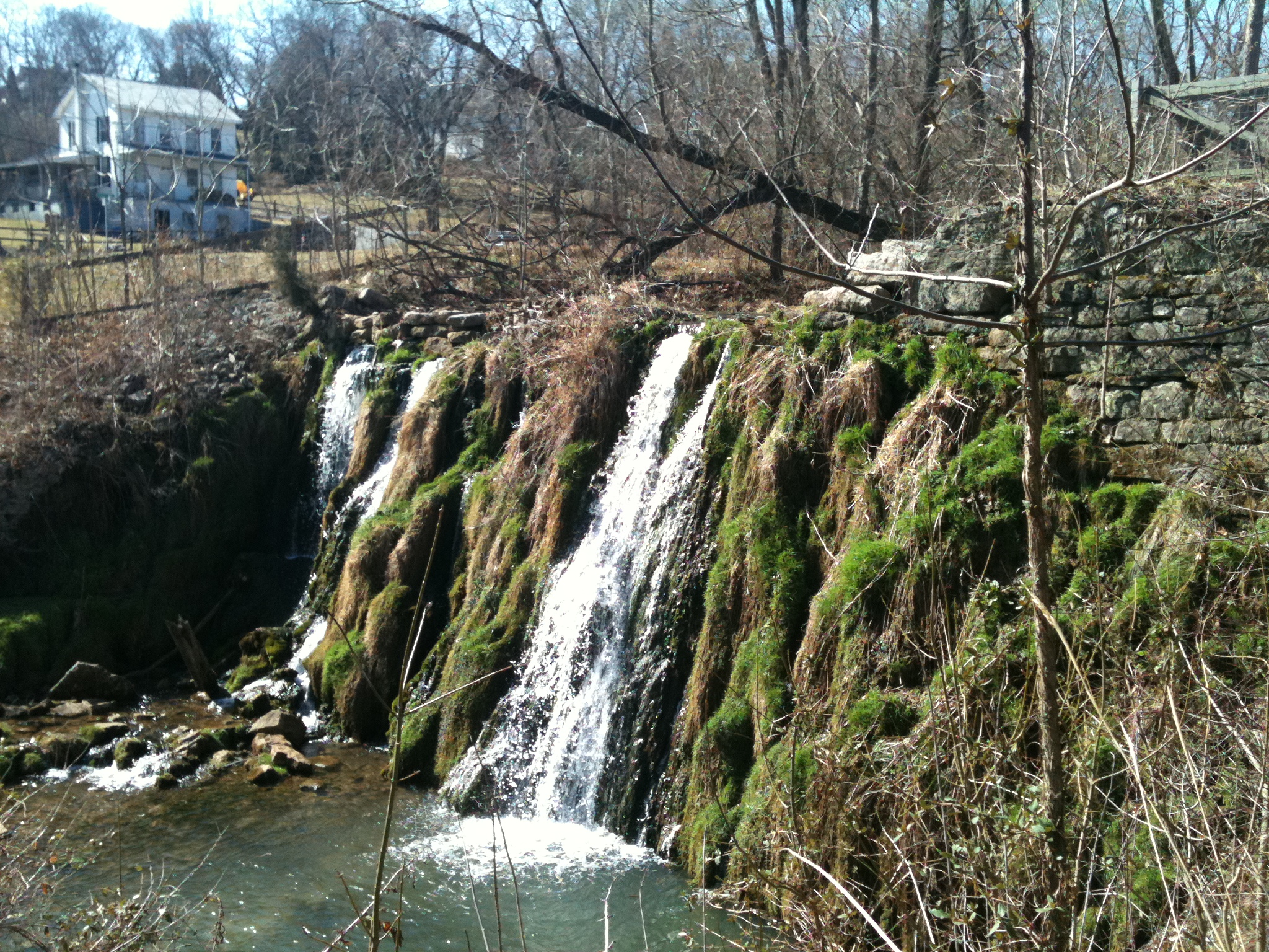 The Waterfalls at Falling Waters