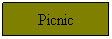 Text Box: Picnic
