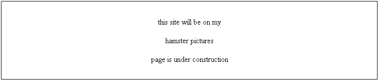 Text Box: this site will be on my
hamster pictures
page is under construction
