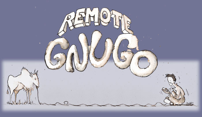 Remote Gnu Go