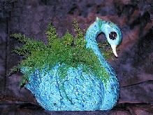 A blue glazed, ceramic swan planter
with airfern