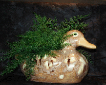 A beige marbalized, ceramic duck planter with air fern.