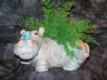 Gray glazed, ceramic standing hippo with blue bird on face and air fern.