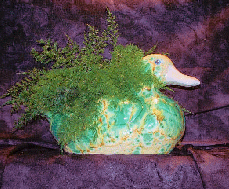 An aqua/cream glazed, ceramic duck with air fern.