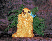 A golden, yellow glazed cocker
spaniel with blue butterfly and air fern.
