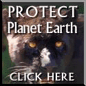 Protect Our Earth.