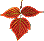 animated color leaf
