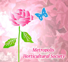 Metropolis Horticultural Society
