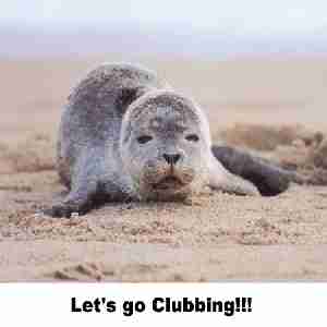 Seal clubbing