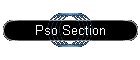Pso Section