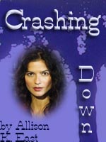bookcover for the fic 'Crashing Down'.
