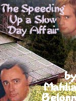 Bookcover for the fic 'The Speeding Up a Slow Day Affair'.