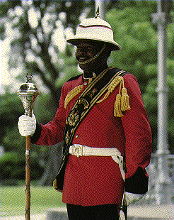 A member of the Royal Grenadiers in ceremonial dress