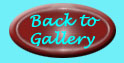 Back to Gallery for girls