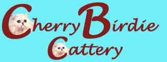 Click here to send email to Cherrybirdie Cattery