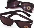sunglasses.jpg (18891 bytes)