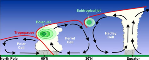 Jet cross section