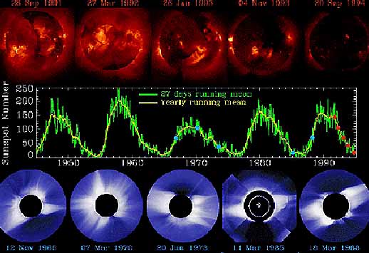 Sunspot cycle effecting coronal streamer behaviour