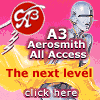 Aerosmith All  Access (The Next Level)