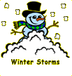 Winter Storms Page