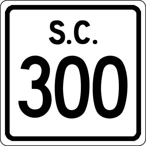 SC 300
