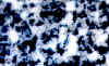 Blue_Granite.jpg (41674 bytes)