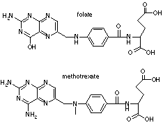 folate and metothrexate structures