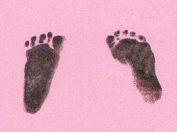 Heloise's footprints