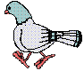 pigeon.gif (10390 bytes)