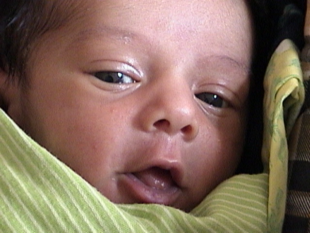 Our son, Rohan. (born on Tue, Nov 12, 2002, 7:09am)