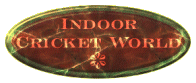 Link to Indoor Cricket World