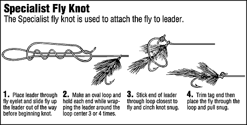 Fishing Knots Black Lake, New York shows you how to tie a variety of fishing knots with easy to follow drawings Black Lake, NY Your Fishing Location for Largemouth Bass, Smallmouth Bass, Northern Pike, Walleye, Perch, & Crappie. Black Lake is a Freshwater Fishermans Paradise located in Upstate, New York