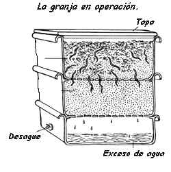 graphic: the worm farm in operation