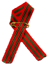 Our Fightback Ribbons - must have been hundreds of thousands, if not millions, of these sold / given away during the fight-back and since getting back in!