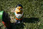 A Souths gnome at Floriade Canberra 2001 - it says 'Go The Bunnies'