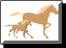 Animated Horses