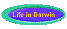 Life in Darwin