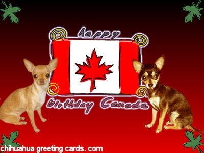 Canada Day Card # 5 Java