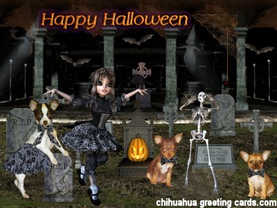  Halloween 4 Java card