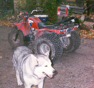 1984 honda big red 200es top speed
