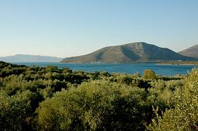 Lesbos Hotels Hotel, Olive Grove