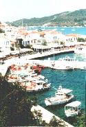 Harbour of Skiathos town