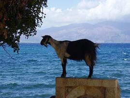Nopigia, Crete.