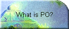 What is PO?